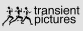 Transient Pictures